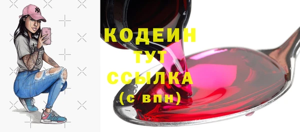 гидра Бердск