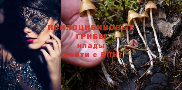 трава Нефтекумск