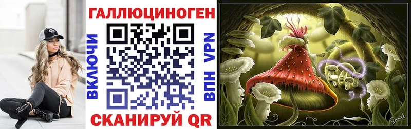 mega как войти  это Telegram  Псилоцибиновые грибы Psilocybe  Новокубанск 