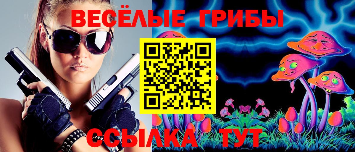 Галлюциногенные грибы Psilocybe Новокубанск