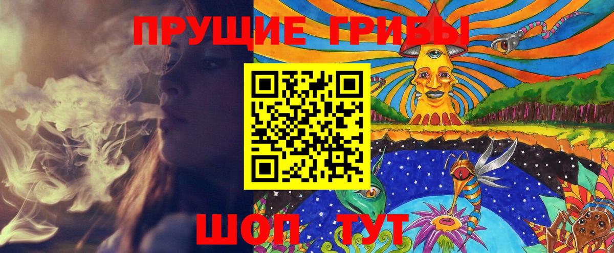 Псилоцибиновые грибы мухоморы  Вход с VPN  Новокубанск  Псилоцибиновые грибы прущие грибы 